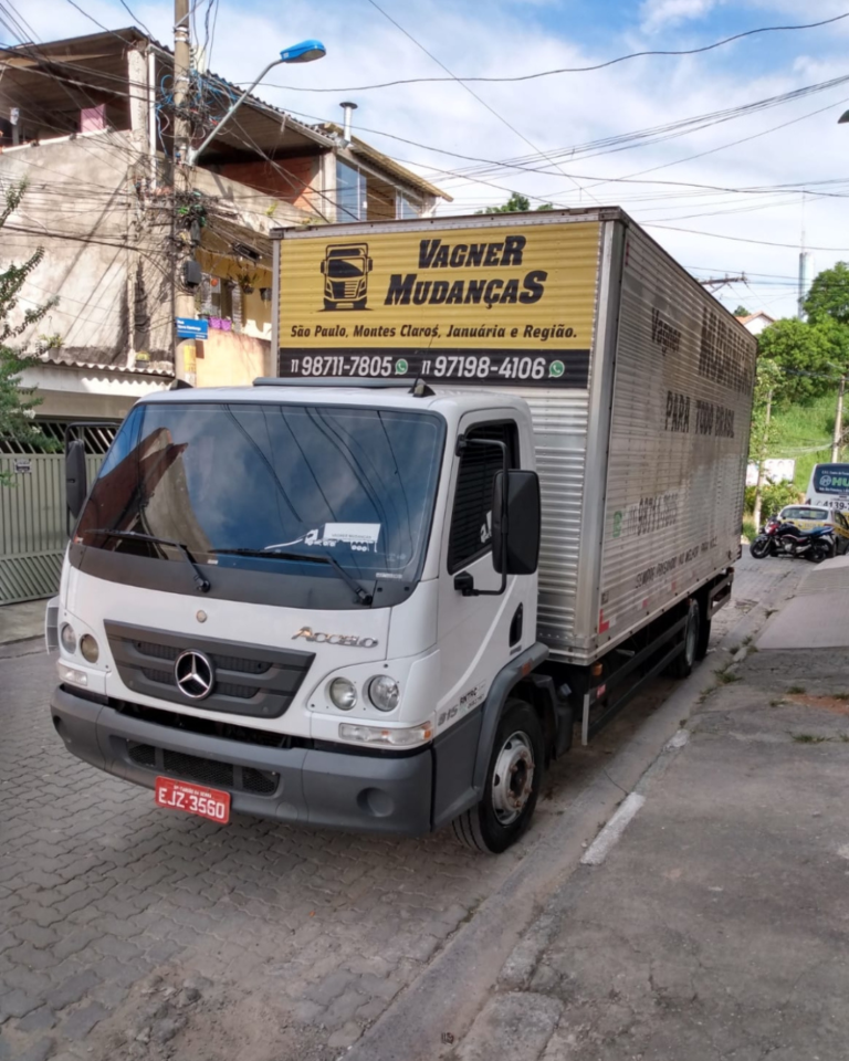 Vagner-Mudanca-Caminhao-01.png