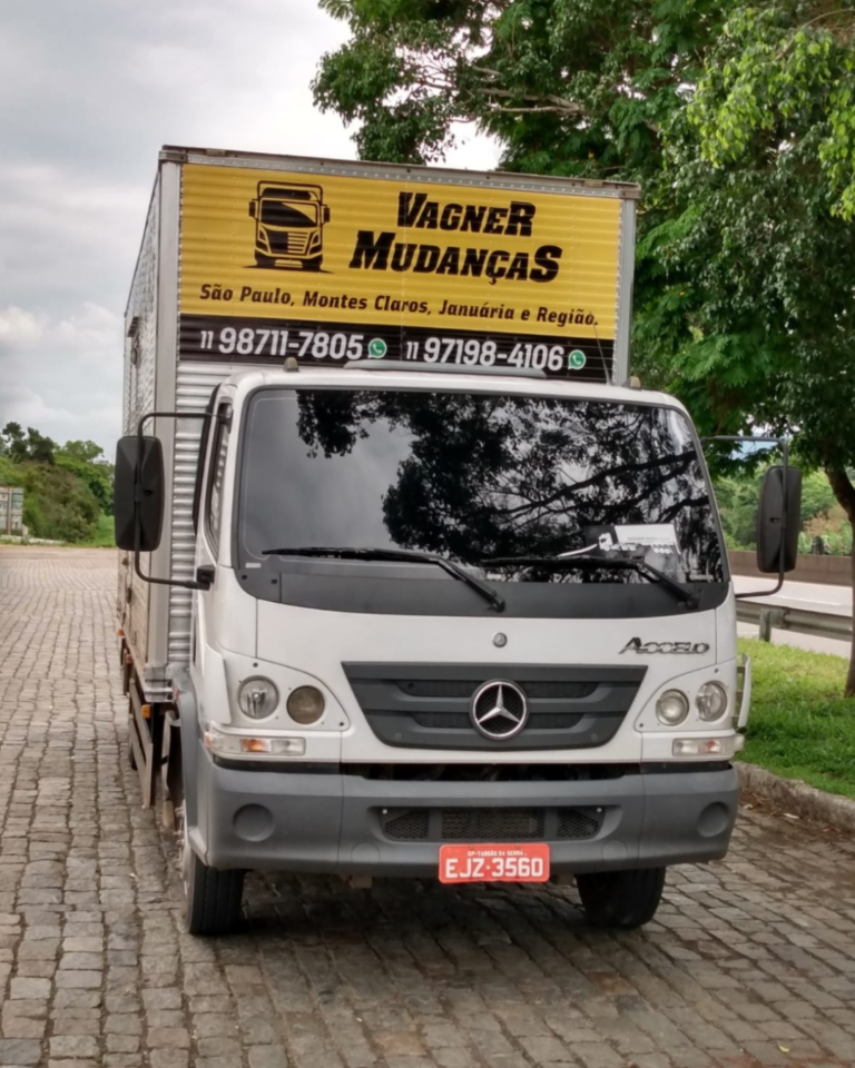 Vagner-Mudanca-Caminhao-03.png